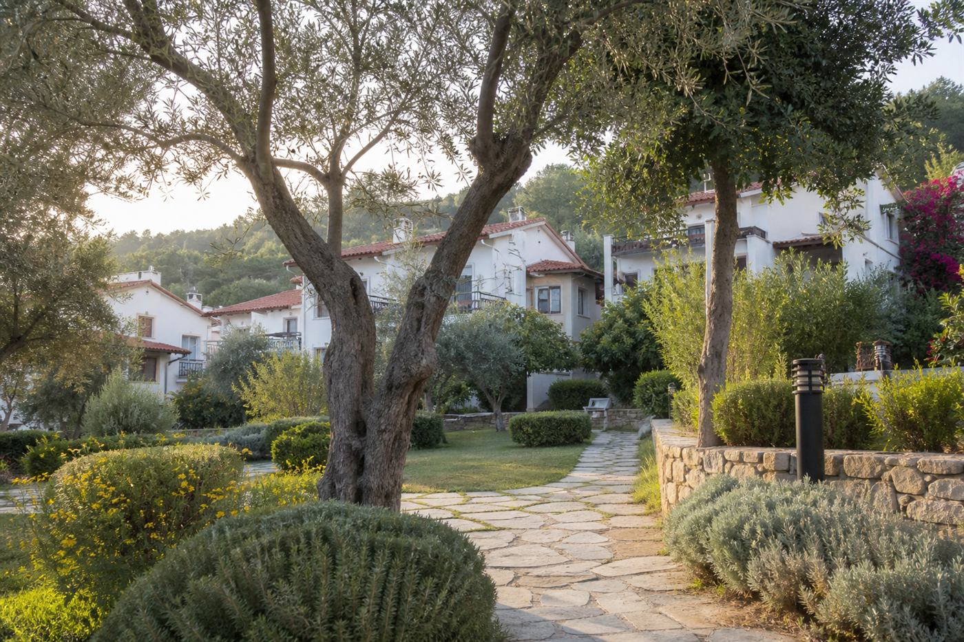 Bayır Mahallesi Yaşam Kalitesi ve Altyapı